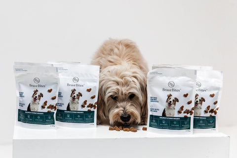 BraveBites® – Voedzame Snack voor Honden met Kanker - BraveBites