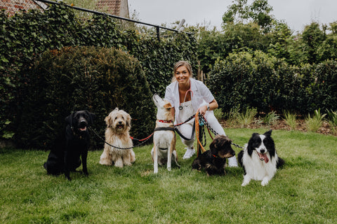 BraveBites Hondensnacks - Beste hondenvoer volgens dierenarts