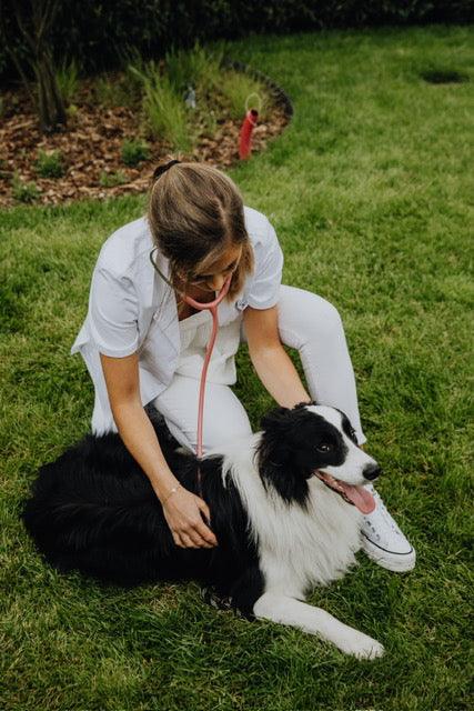 Wat Zijn de Vroege Tekenen van Kanker bij Honden? - BraveBites