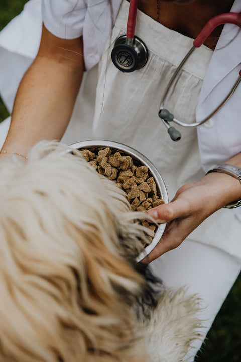 De eerste dagen na de diagnose: wat nu?