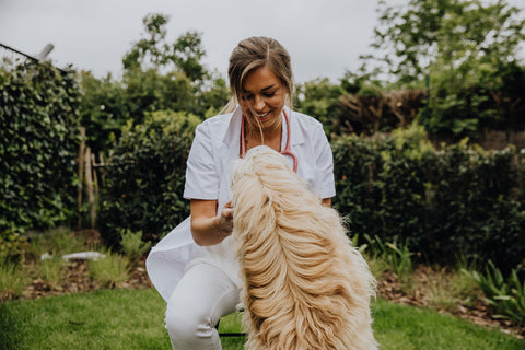 Wanneer moet je met je hond met kanker opnieuw naar de dierenarts?