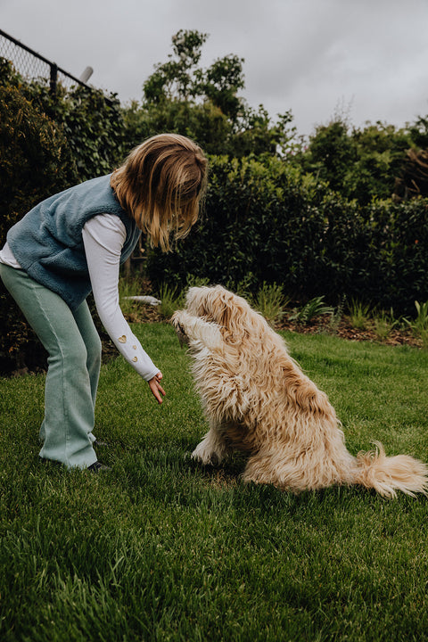 Wat zijn de eerste signalen van kanker bij honden?