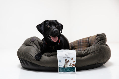 BraveBites hondensnacks verpakking met hond in mand