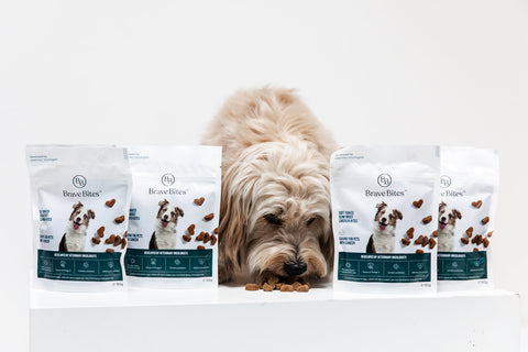 hond eet BraveBites snacks voor honden met kanker