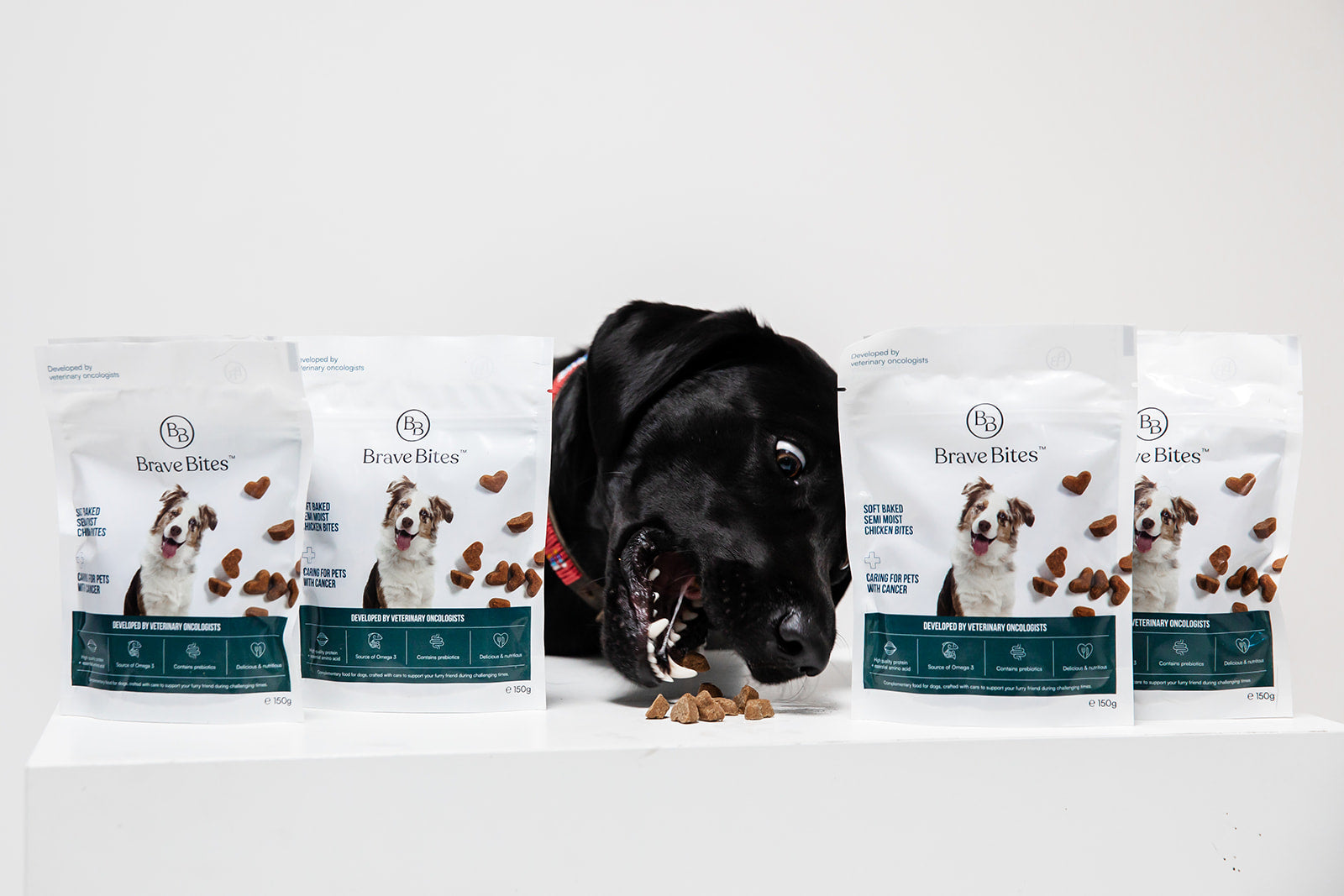 hond eet BraveBites snacks voor honden met kanker