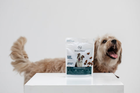 BraveBites hondenvoer pakket op tafel met hond op de achtergrond.
