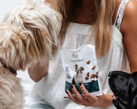 hond krijgt snack BraveBites hondensnacks