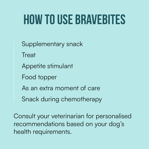 BraveBites® – Voedzame Snack voor Honden met Kanker - BraveBites