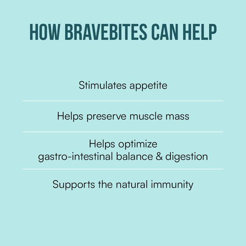 BraveBites® – Voedzame Snack voor Honden met Kanker - BraveBites
