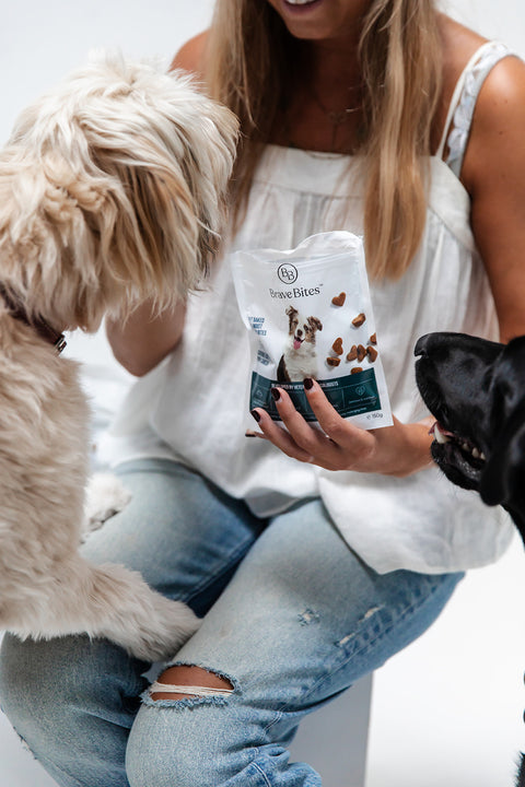 BraveBites® – Voedzame Snack voor Honden met Kanker - BraveBites