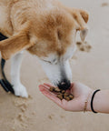 BraveBites® – Voedzame Snack voor Honden met Kanker - BraveBites