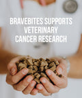 BraveBites® – Voedzame Snack voor Honden met Kanker - BraveBites