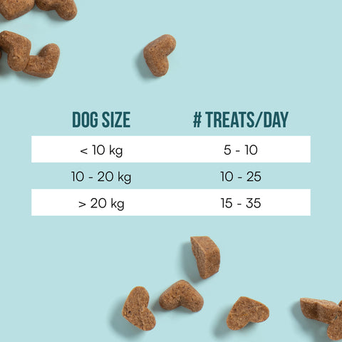 BraveBites® – Voedzame Snack voor Honden met Kanker - BraveBites