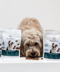 BraveBites® – Voedzame Snack voor Honden met Kanker - BraveBites