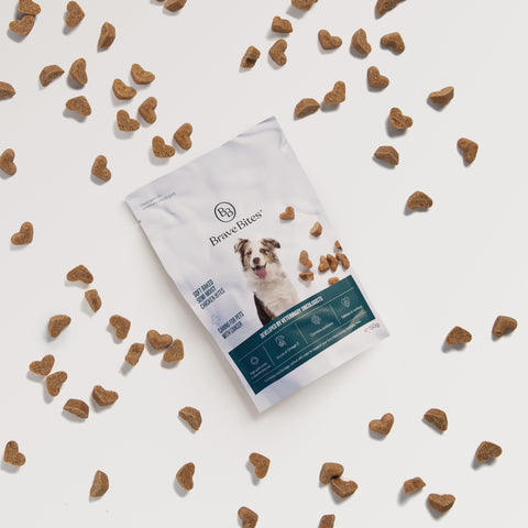 BraveBites Hondensnacks - Beste hondenvoer volgens dierenarts