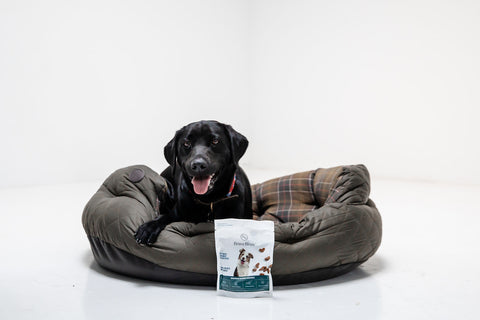 BraveBites Hondensnacks - Beste hondenvoer volgens dierenarts