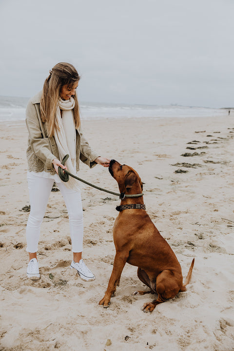hond krijgt snack op strand BraveBites hondensnacks