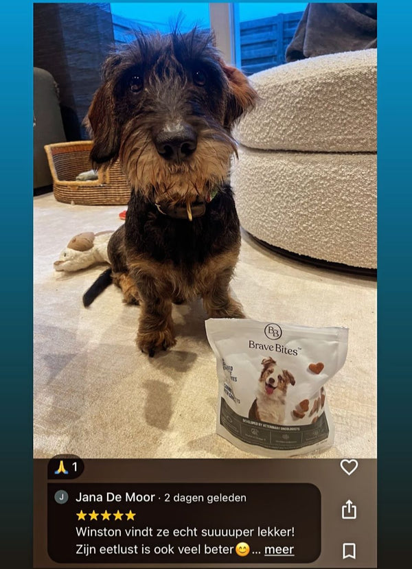 Screenshot van tevreden klant met BraveBites product