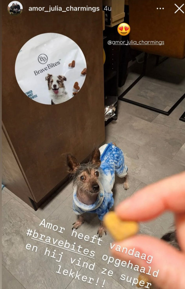 Feedback van klant over BraveBites