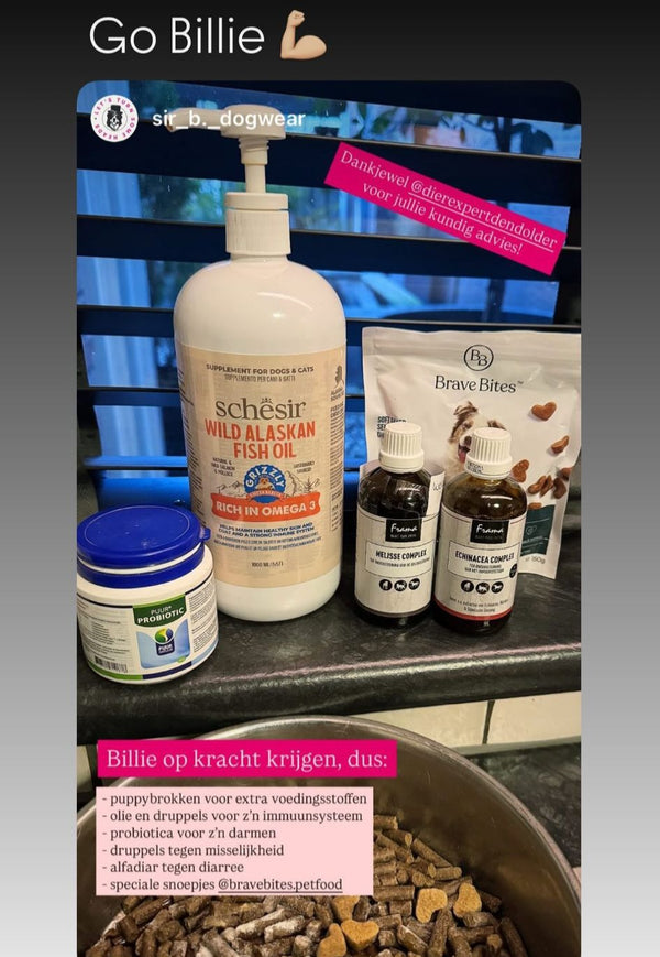 Positieve review van klant over BraveBites