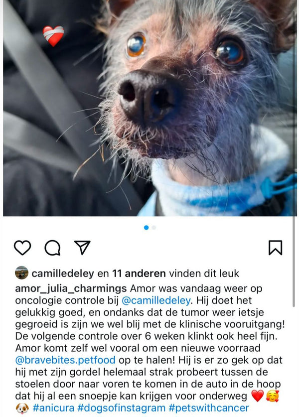 Klantreview BraveBites product