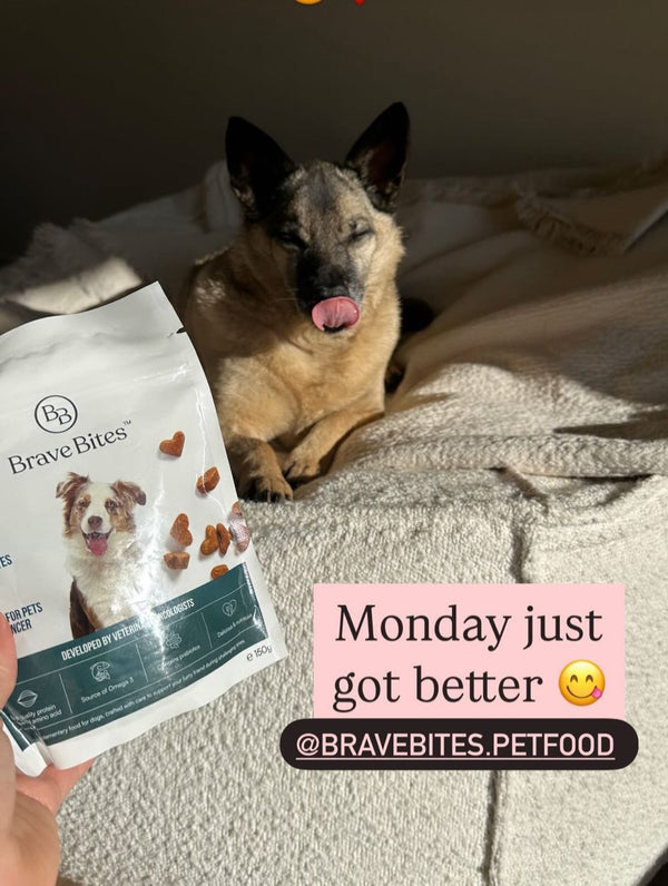 Klant deelt ervaring met BraveBites hondenvoer