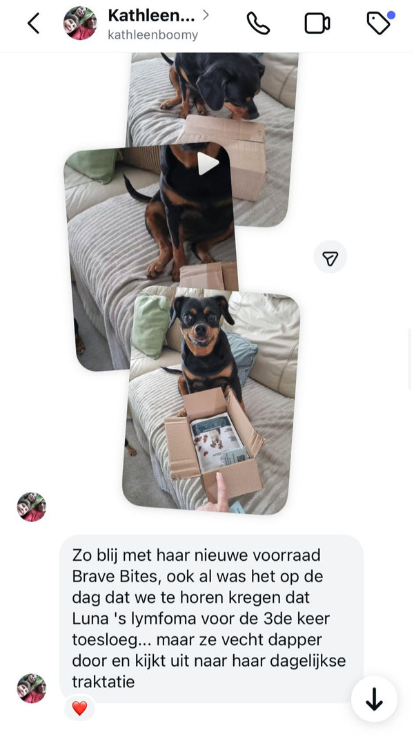 Ervaring van klant met BraveBites